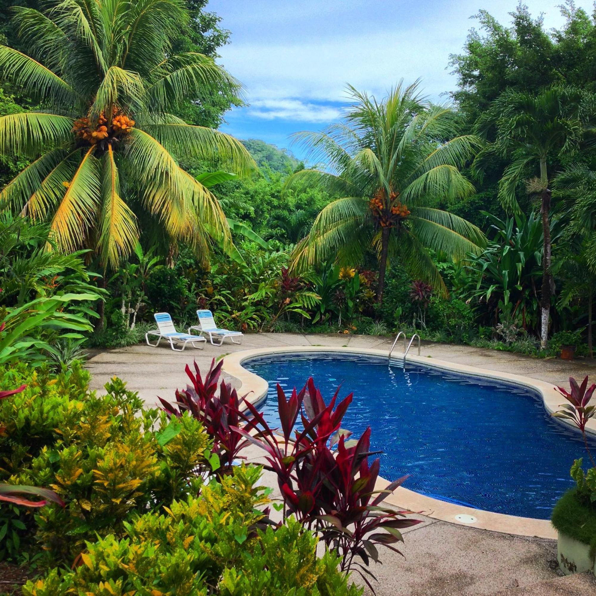 Star Mountain Jungle Lodge & Horse Ranch มัลปัยส์ ภายนอก รูปภาพ