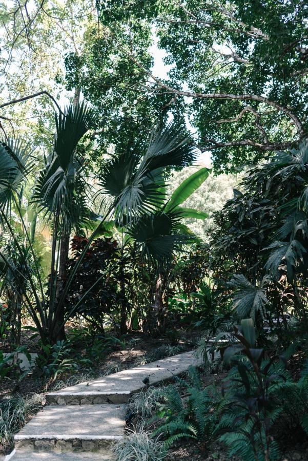 Star Mountain Jungle Lodge & Horse Ranch มัลปัยส์ ภายนอก รูปภาพ