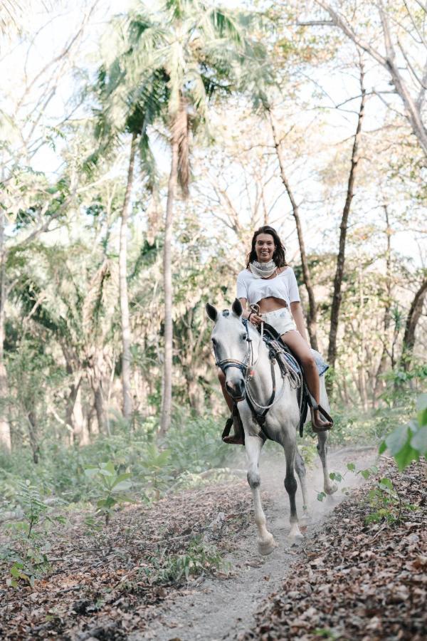 Star Mountain Jungle Lodge & Horse Ranch มัลปัยส์ ภายนอก รูปภาพ