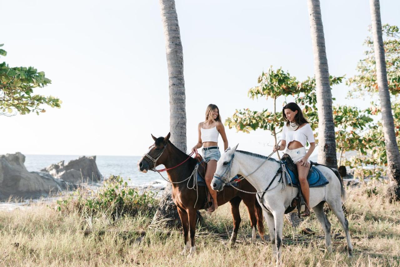 Star Mountain Jungle Lodge & Horse Ranch มัลปัยส์ ภายนอก รูปภาพ